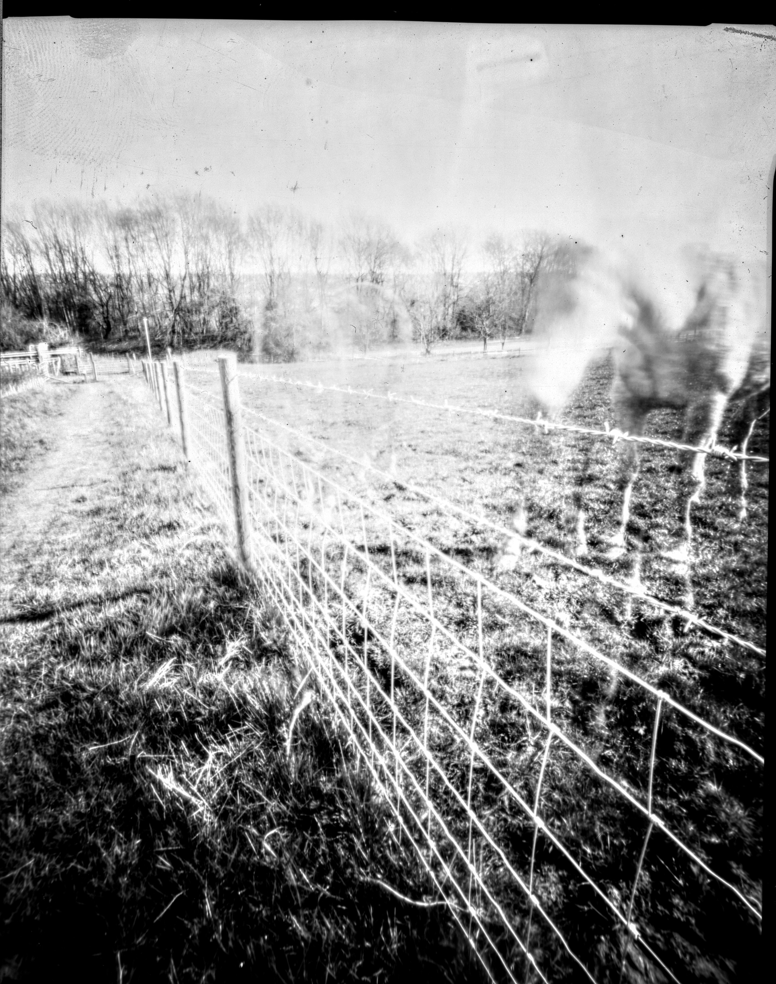 Why on earth do I love pinhole photography?